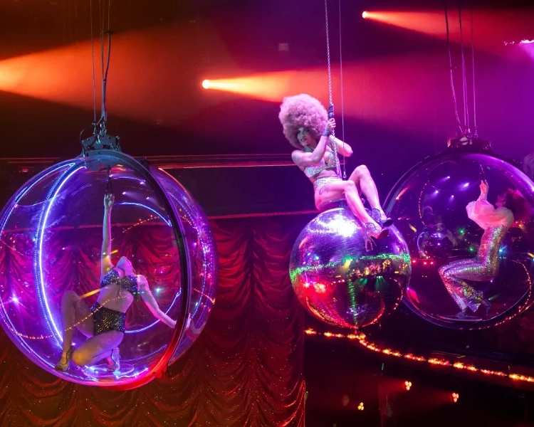Paradis Latin Show & Glas Champagner, photo 2