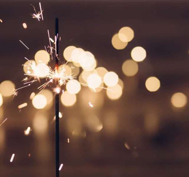 Ivoire游船上的新年夜游船晚餐, photo 1