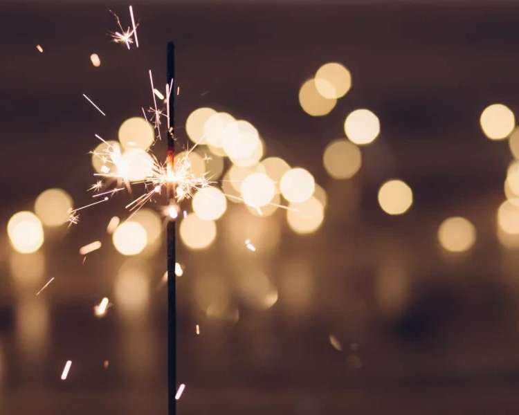 Ivoire游船上的新年夜游船晚餐, photo 1