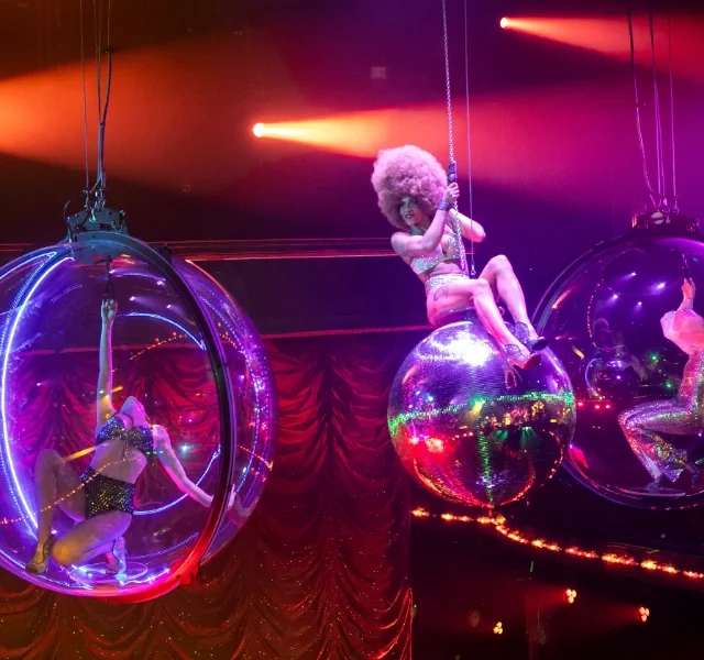 Paradis Latin Show & Halbe Flasche Champagner, photo 1