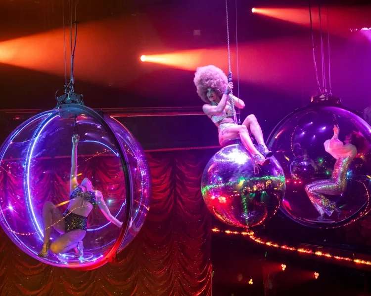 Paradis Latin Show & Halbe Flasche Champagner, photo 1