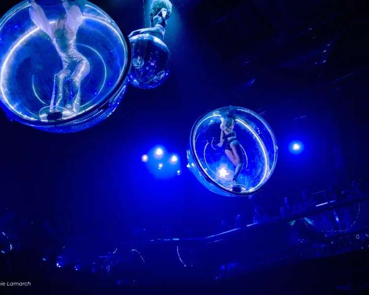 Prestige Diner Show bij Paradis Latin, photo 1