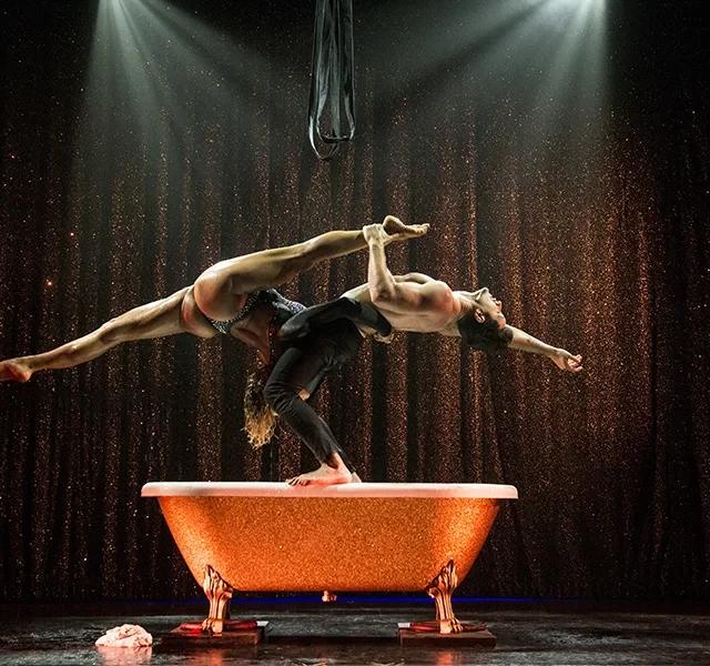 Prestige Diner Show bij Paradis Latin, photo 2