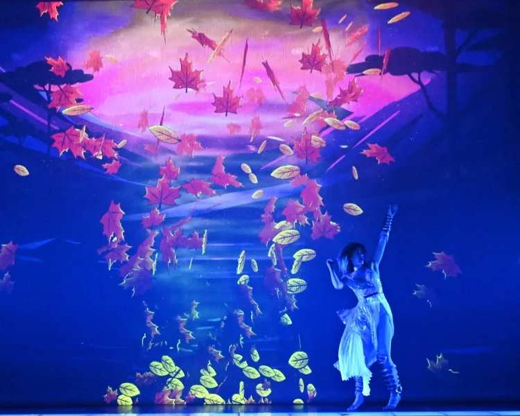 Mon Premier Cabaret - Spettacolo Familiare di Kamel Ouali, photo 5