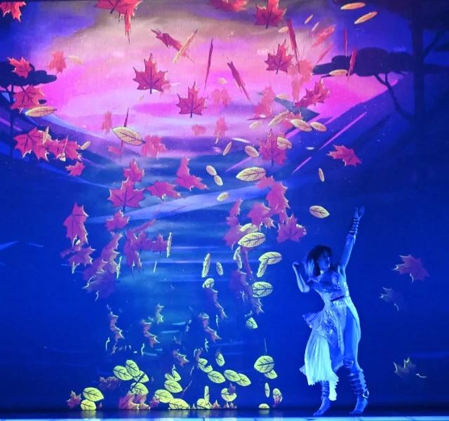Mon Premier Cabaret - Spettacolo Familiare di Kamel Ouali, photo 5