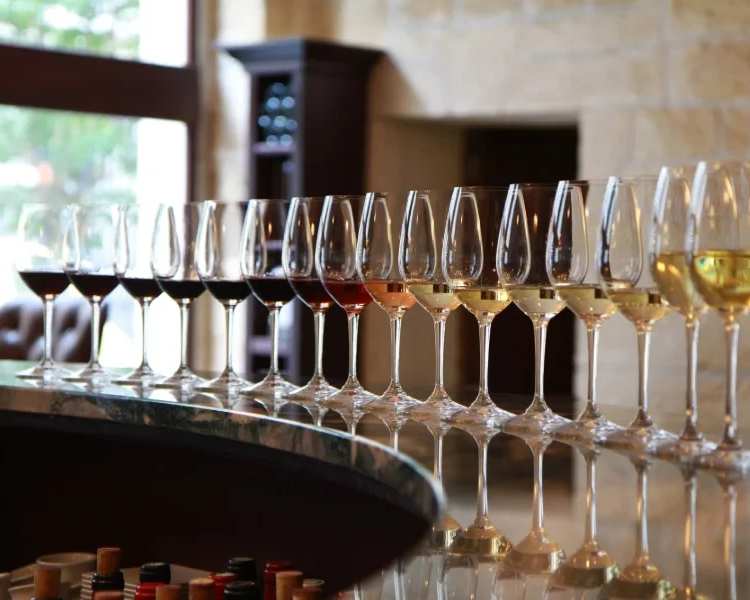 Dégustation 3 Verres de Vin, photo 4